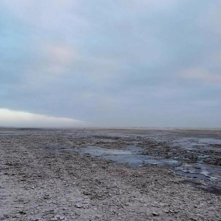 Таганрогский залив обмелел 2019. Таганрог залив Азовского моря. Таганрогский залив заливы Азовского моря. Вода Таганрогского залива. Почему в таганроге нет воды