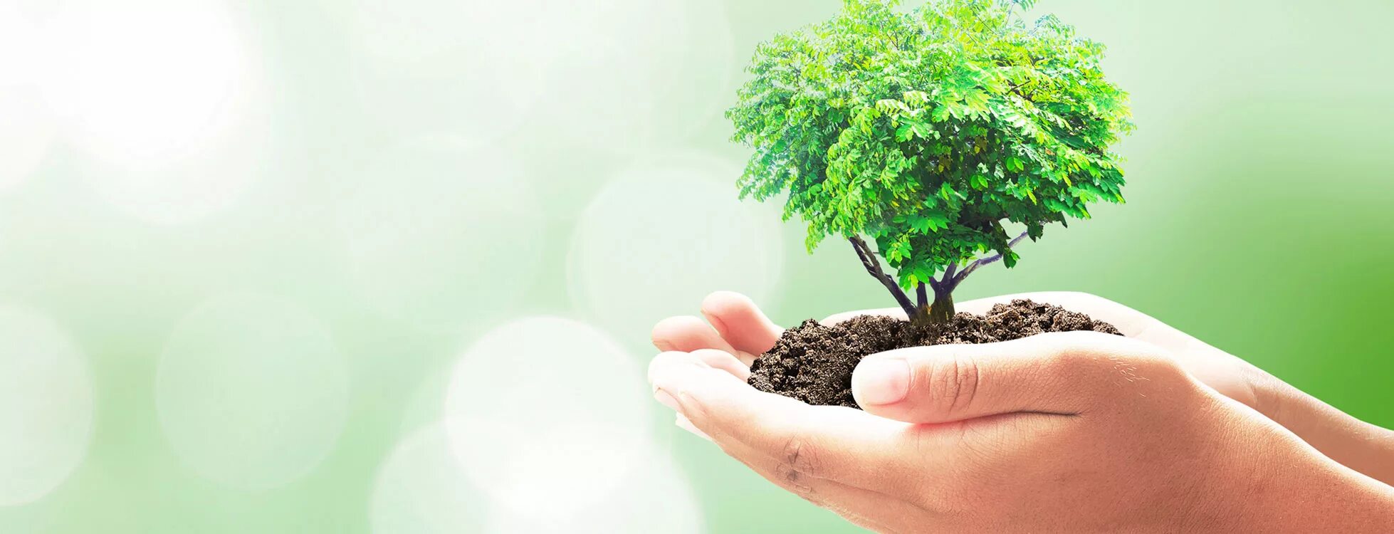 Caring environment