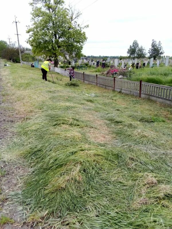 Село трава. Село травяное Галкинского района. Сесть на травку. СХП Михайловское село Михайловка.