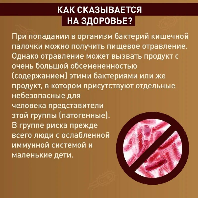 кишечная группа бактерий