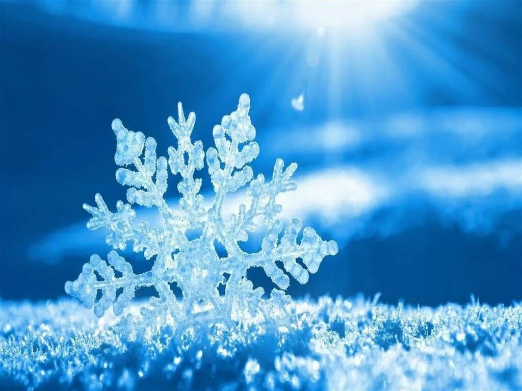 Благодарность зимой. Рамки зима для детского сада. Новогодние грамоты для детей. Новогодний дизайн слада. Зимний фон для диплома.