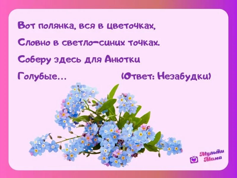 Загадка про незабудку для детей. Загадка про незабудку цветок. Стих про незабудку для детей. Стихи про цветы.