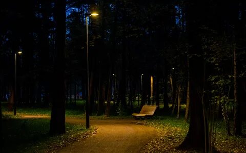 Парк ночью