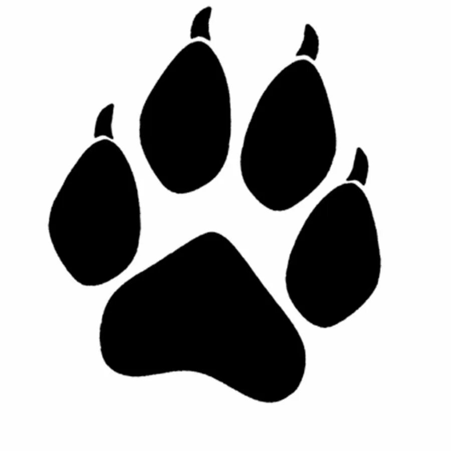 След лапы волка. Отпечаток лапы хаски. Отпечаток лапы с когтями. Отпечаток лапы волка. Отпечаток лапы льва.