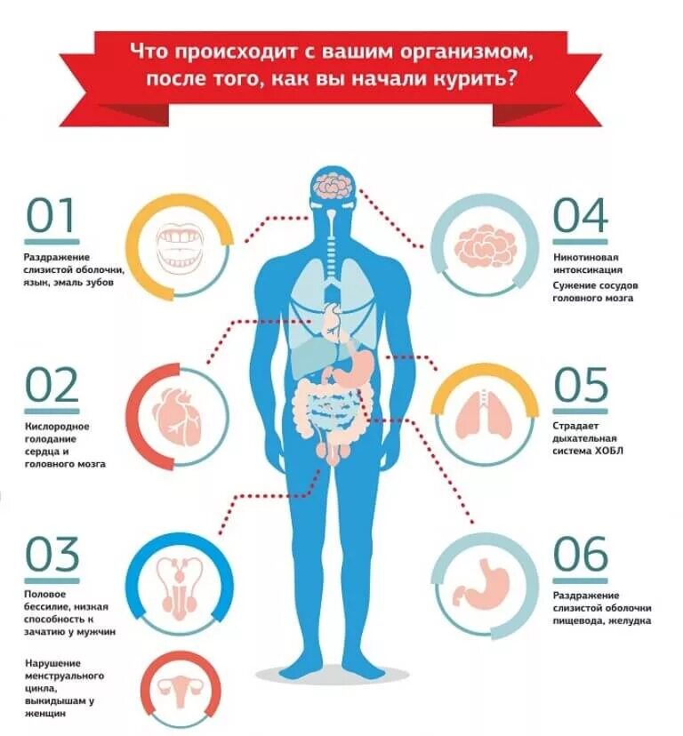 Что происходит с организмом курильщика
