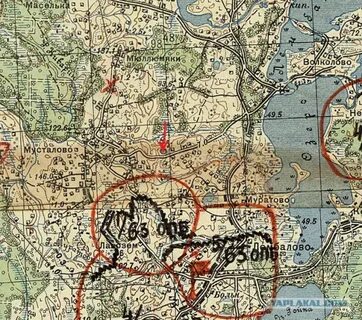 Погода в грузино ленинградской на неделю