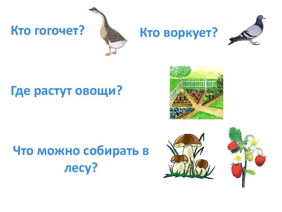 Игры звук г. Картинки на звук г. Автоматизация звука г в картинках. Автоматизация звука г и гь. Слова со звуком г.