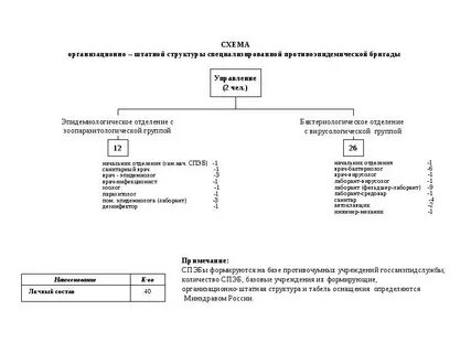 Организационно штатные вопросы