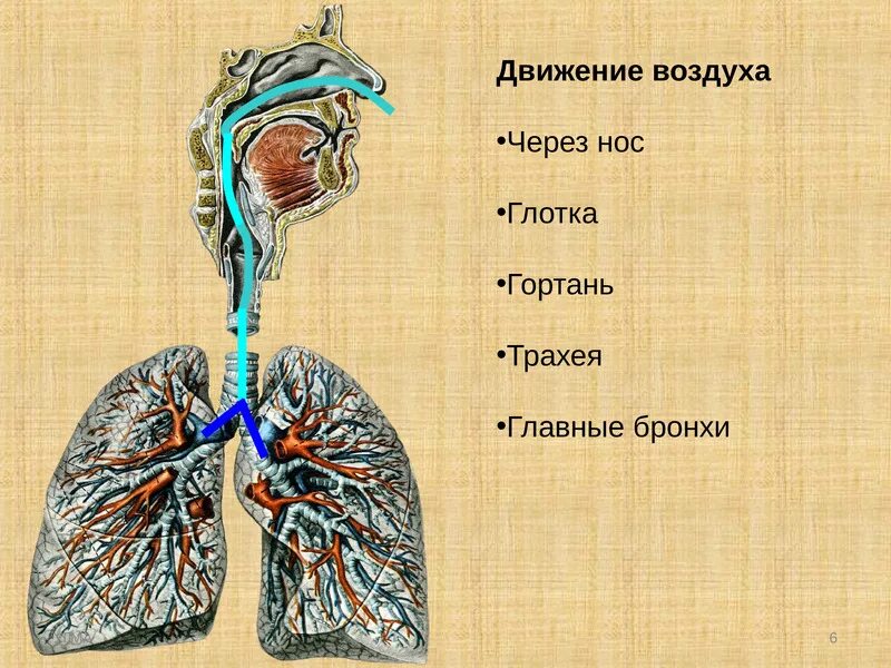 Последовательность движения воздуха