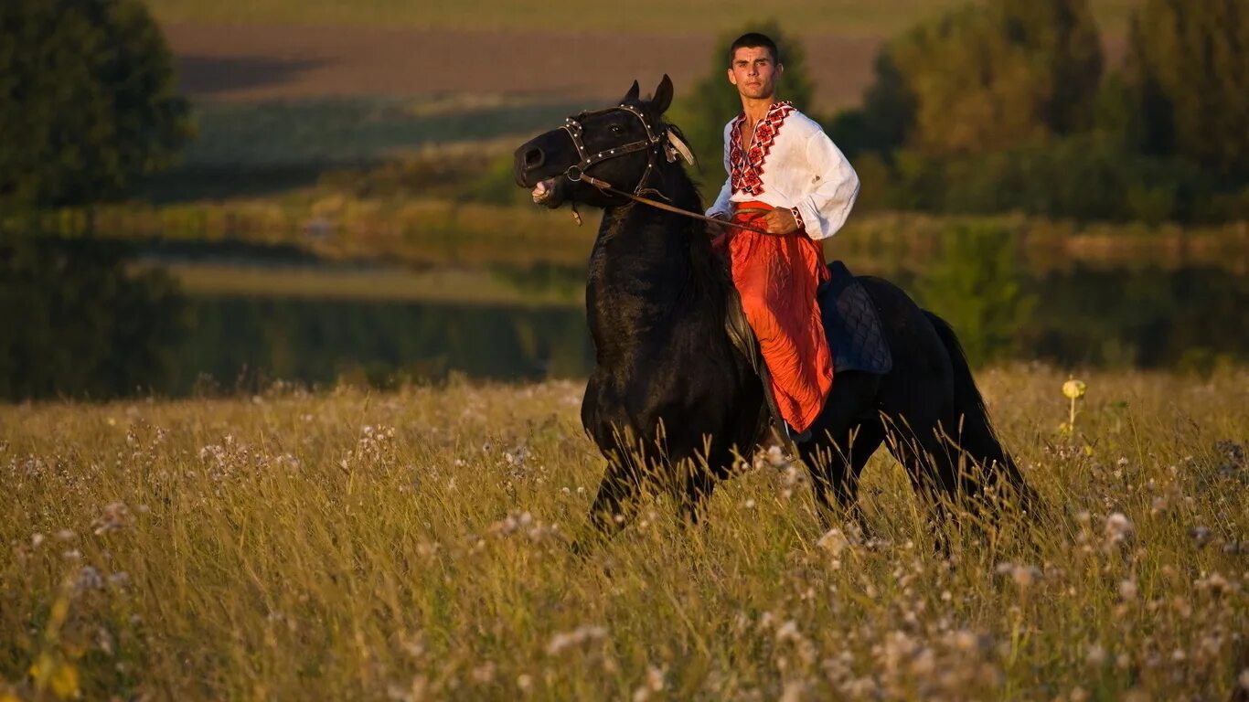 Казачья песня ветер. Казак на коне в поле. Украинские казаки на конях. Казак и казачка. Красивый казак.