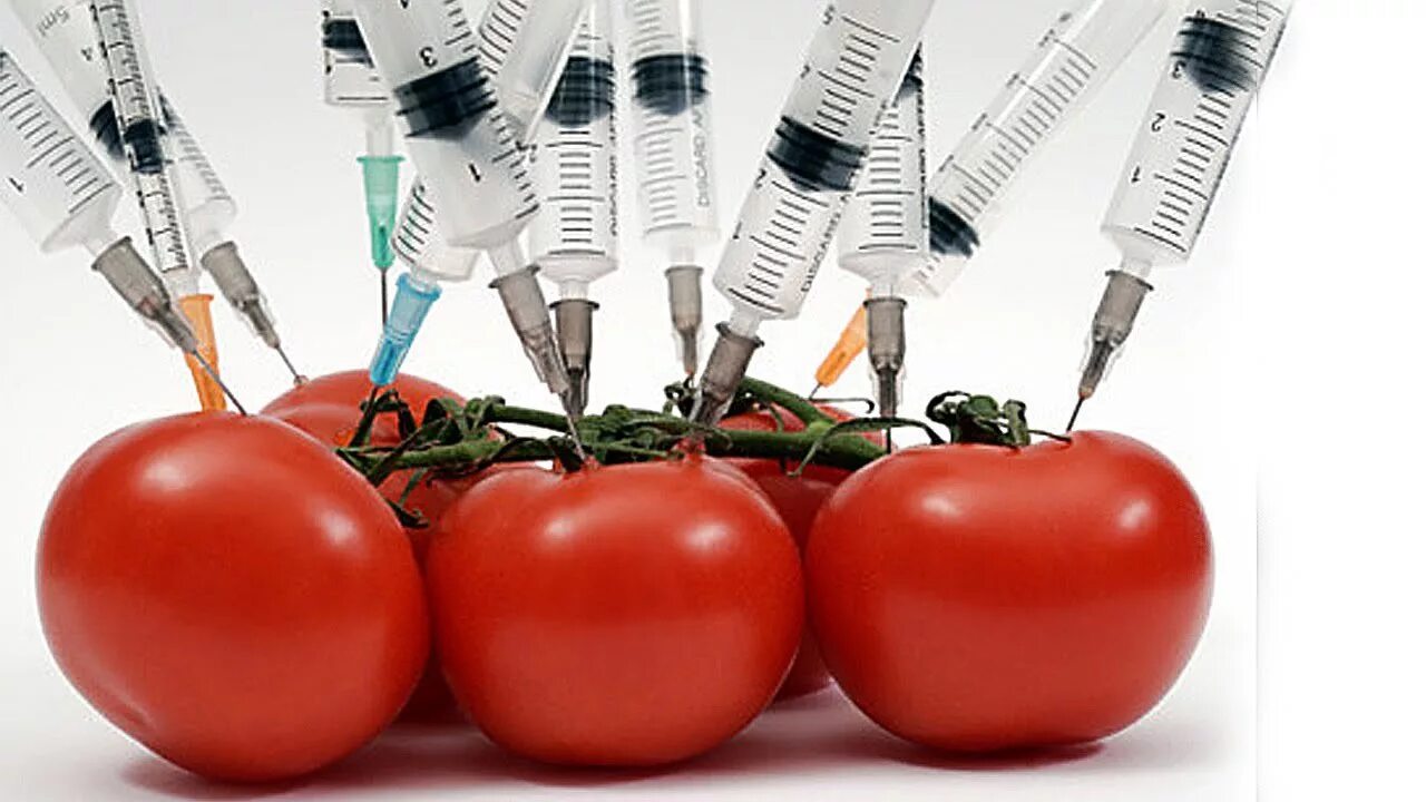 Гмо геном. Гмо генная инженерия. Генная инженерия продуктов. Генномодифицированные продукты. Генномодифицированные организмы.