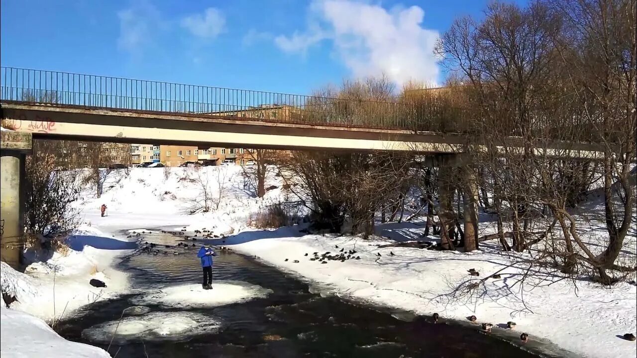 Панинский мост на карте вязьмы. Смоленский мост Вязьма. Фроловский мост Вязьма. Панинский мост Вязьма. Вяземский мост.