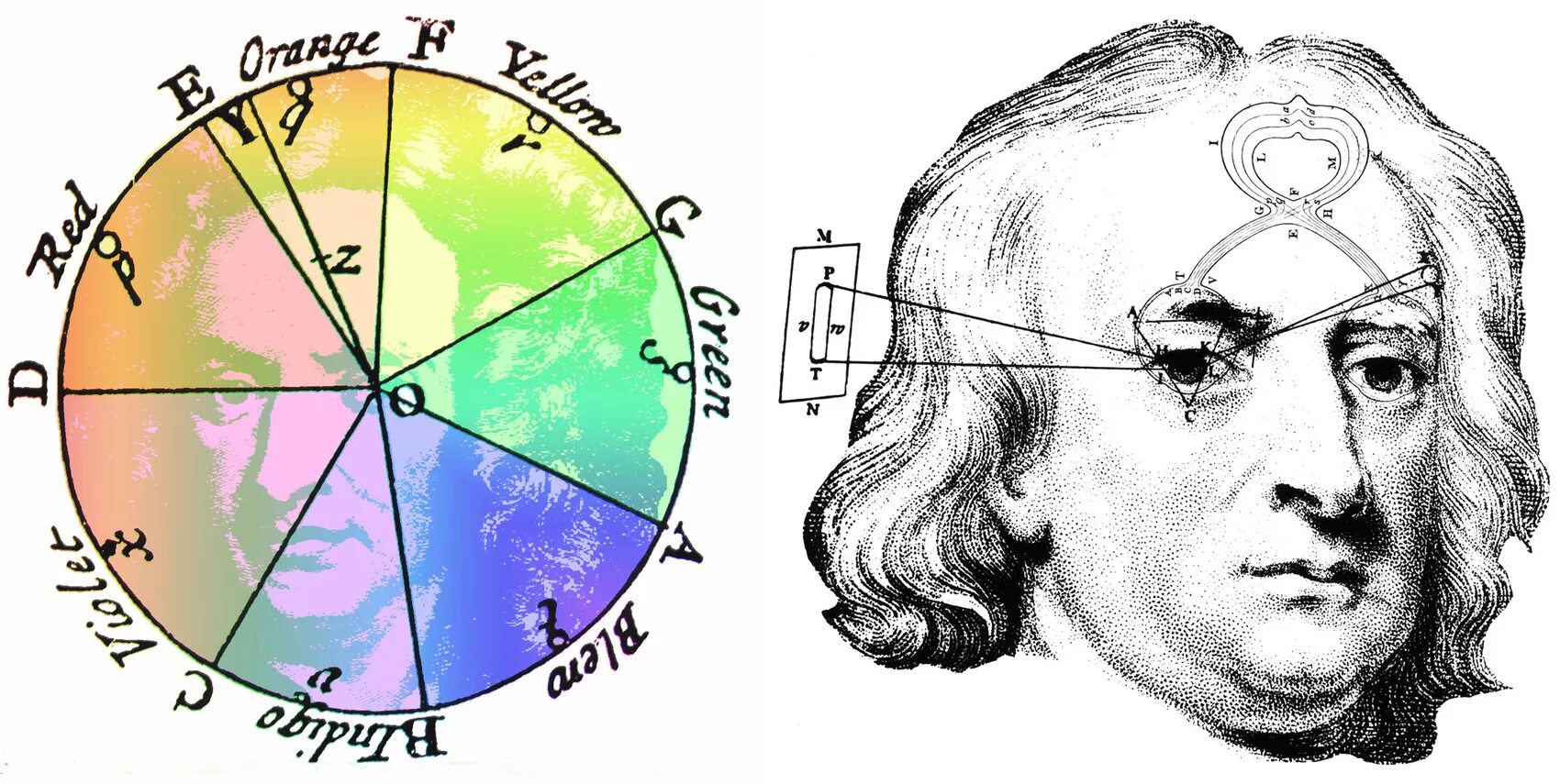 Круг Исаака Ньютона. Цветовой круг Исаака Ньютона. Пятно ньютона