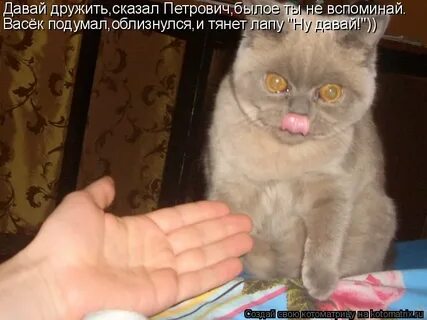 Скажу скажи дружу дружи
