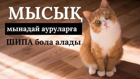 Жыныстық өмірбаян