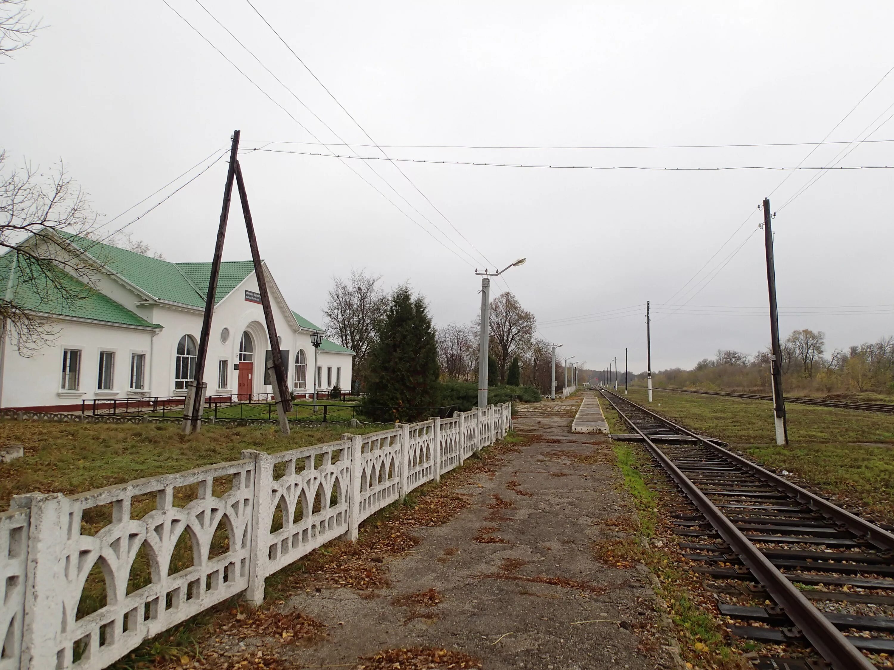 Куркино область погода на неделю