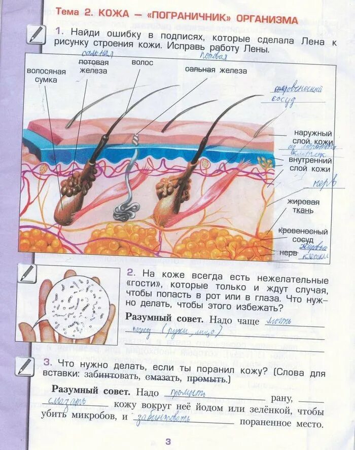 Окружающий мир рабочая тетрадь Вахрушев 4 стр 4. Гдз по по окружающему миру 4 класс рабочая тетрадь 3 страница. Гдз окружающий мир 4 класс рабочая тетрадь. Окружающий мир 3 класс рабочая тетрадь стр 4.