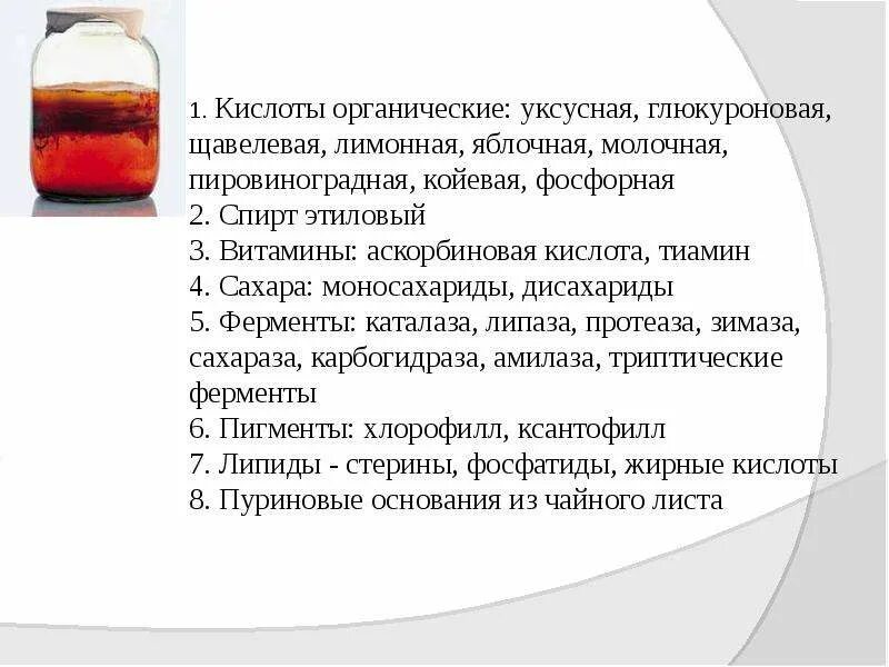 Сколько можно пить гриб. Органические кислоты щавелевая уксусная. Чайный гриб презентация. Уксусный гриб. Ферменты в чайном грибе.