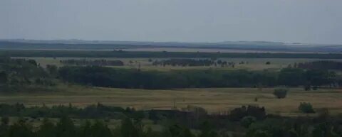 Песчанка саратовская область