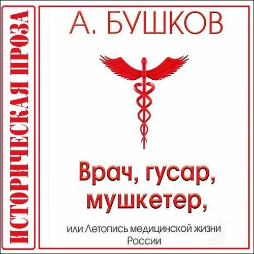 Былая русь. Бушков врач Гусар Мушкетер. Бушков врач Гусар мушкетёр обложка. Женя Гусар врач.