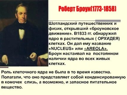 Р броун открытие