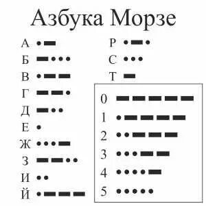 Морзе хомяк 10 11 июля