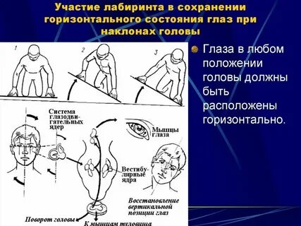 Почему болит голова когда наклоняешься вниз