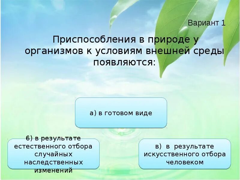 Приспособление организмов. Приспособление к условиям. Приспособление организмов к внешней среде. Приспособления к условиям среды. Приспособленность организмов к действию факторов среды презентация