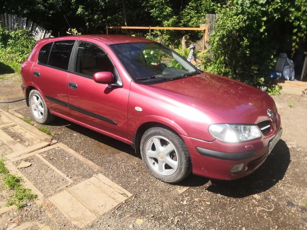 ниссан альмера н16 2000 года. альмера 2000 год. Nissan almera n 15 2000 год. альмера 2000 год. ниссан альмера 2000 года.