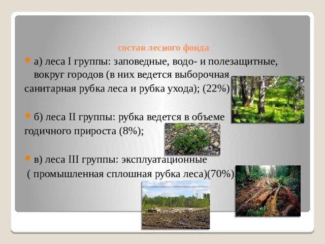 1 категория леса. Группы лесов лесного фонда россии. 1 категория леса. 1 категория леса. Лесной фонд рф.
