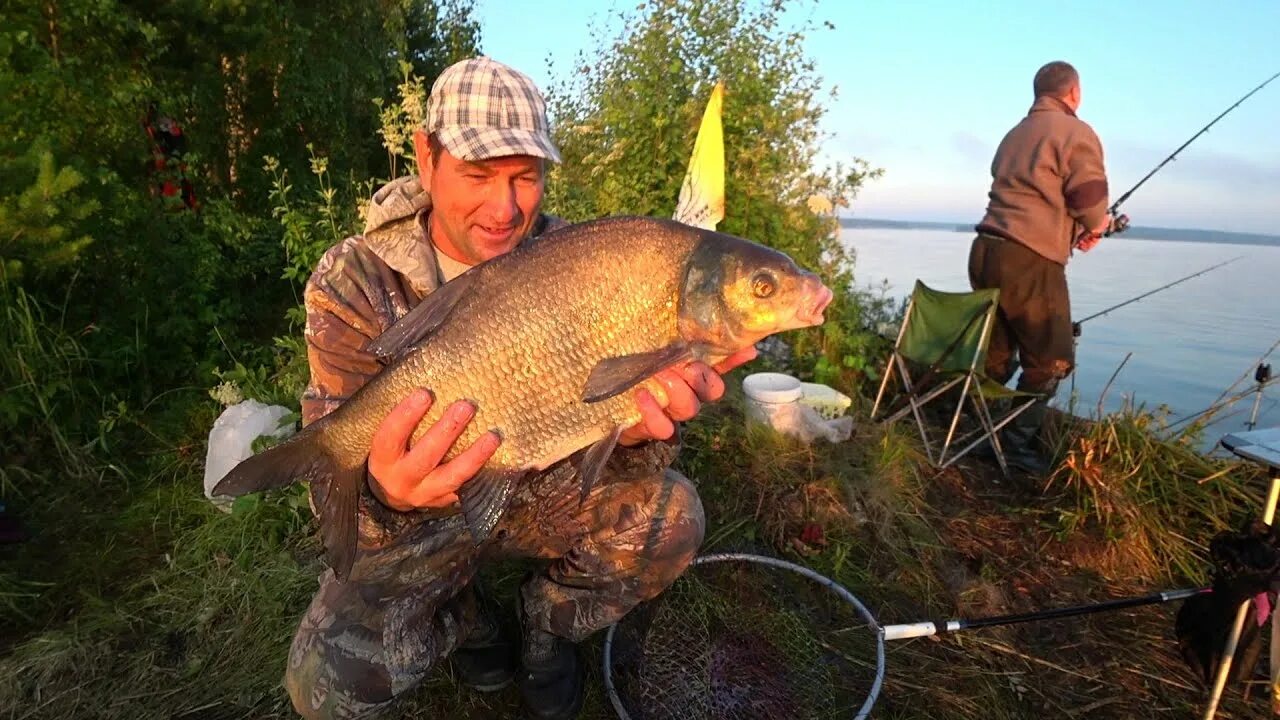 Рыбалка на белоярском водохранилище в контакте. Рыбалка на Белоярском водохранилище. Нижнегочанское водохранилище рыбалка. Белоярский лещ. Килькабызово.