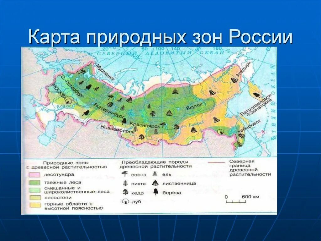 Карта природно хозяйственных зон россии 8 класс. Географическая карта России с природными зонами. Зона смешанных и широколиственных лесов на карте России. Широколиственные леса почва на карте. Природные зоны России на карте 5 класс география.