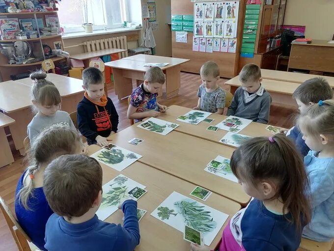 День леса занятие в детском саду. День леса в детском саду старшая группа. Международный день леса в детском саду старшая группа. День леса в детском саду младшая группа.