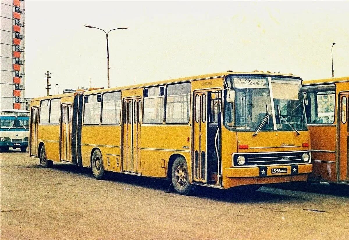 Пятьдесят шестого автобуса. ЛИАЗ-гармошка.Икарус-280-. Ikarus 280 СССР. Икарус 280 1989. Автобусы Икарус в СССР.