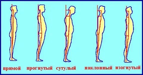 Под осанкой