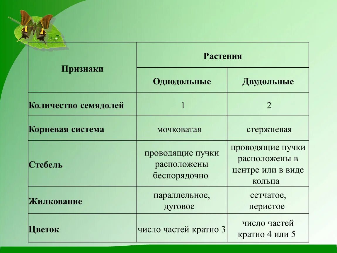 Черты сходства двух растений одного рода. Признаки однодольных и двудольных растений таблица. Признаки классов однодольных и двудольных растений. Признаки двудольных растений таблица. Основные признаки двудольных и однодольных растений 7 класс.