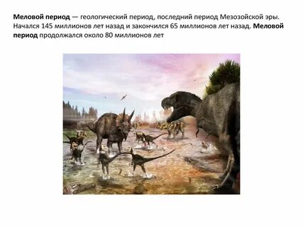 Про метшей