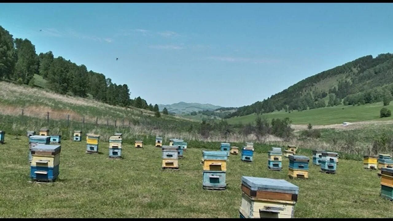 Где находится пасечная