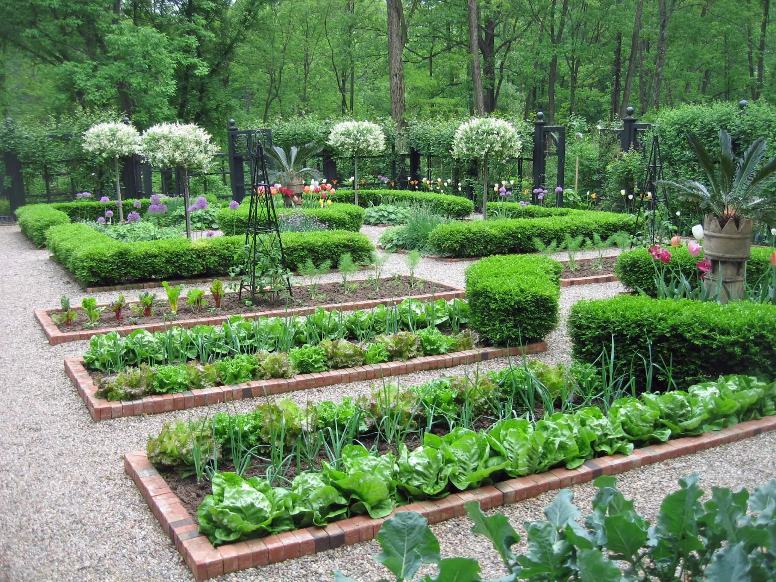 Kitchen garden перевод. Грядки-клумбы мавританский дворик. Джон Вайдман ландшафтный дизайнер.