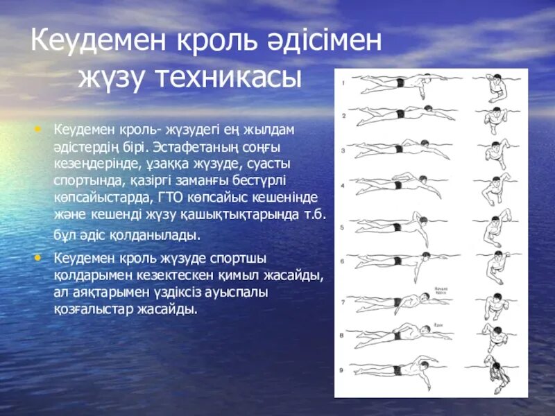 Реферат техника плавания кроль. Техника плавания презентация. Кроль вид плавание техника. Виды плавания Кроль на животе. Техника плавания кролем на животе.