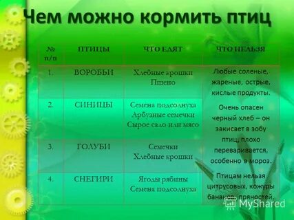 Пшено птицам зимой можно