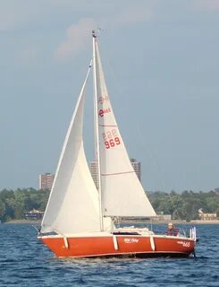 Wild sail
