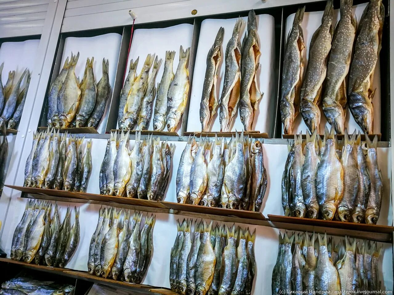 Рыба в астрахани есть. Рынок Селенские Исады в Астрахани. Астрахань рыба рынок. Селенские Исады осетр. Астраханский рыбный рынок Селенские Исады.