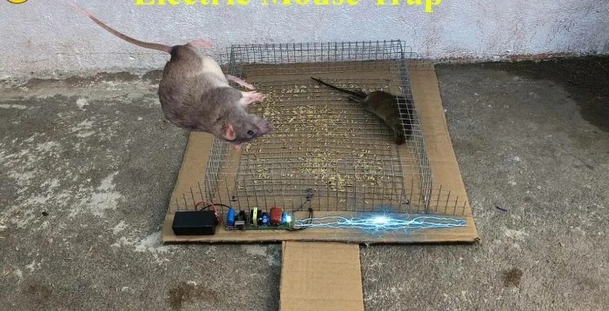 Крысоловка электрическая Electric rat Trap. Хитрые ловушки для крыс. ЛОВУШКА для домашней крысы.