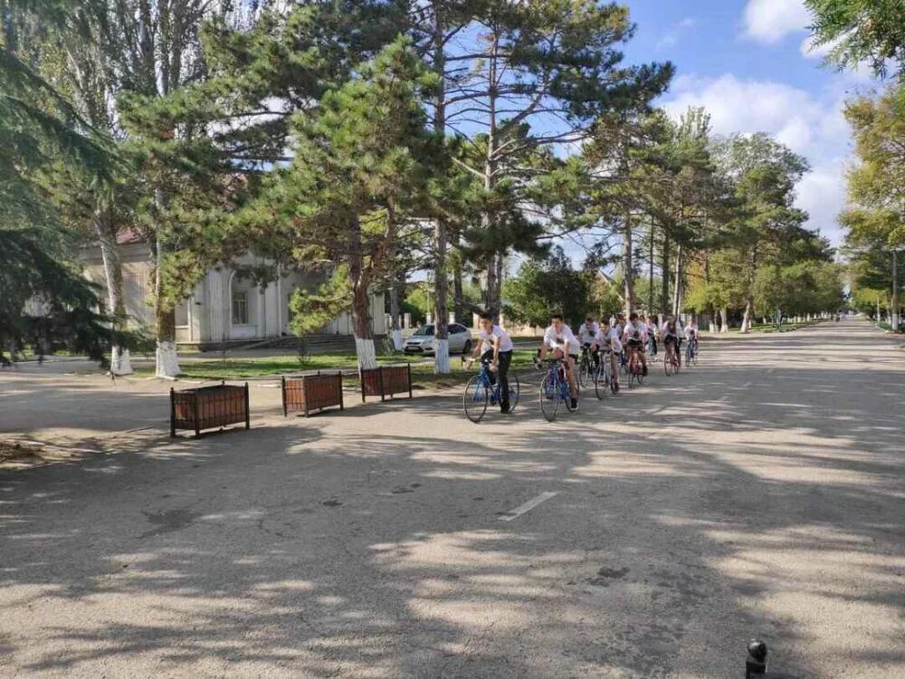 Памятник ленину красногвардейское крым. Крым поселок ленино ленинский район. Пгт ленино в фотографиях. Работа пгт ленино. Пгт ленино крым памятники.