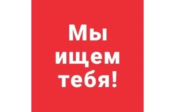 Мы 3 ищем. Мы ищем именно тебя. ищу тебя. работа ищет тебя. ищем тебя в команду.