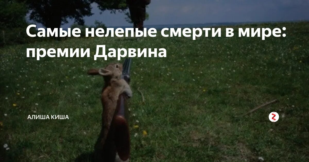 Самая нелепая смерть в мире. Премия Дарвина самые нелепые смерти. Премия Дарвина самые глупые смерти. Премия за нелепую смерть.