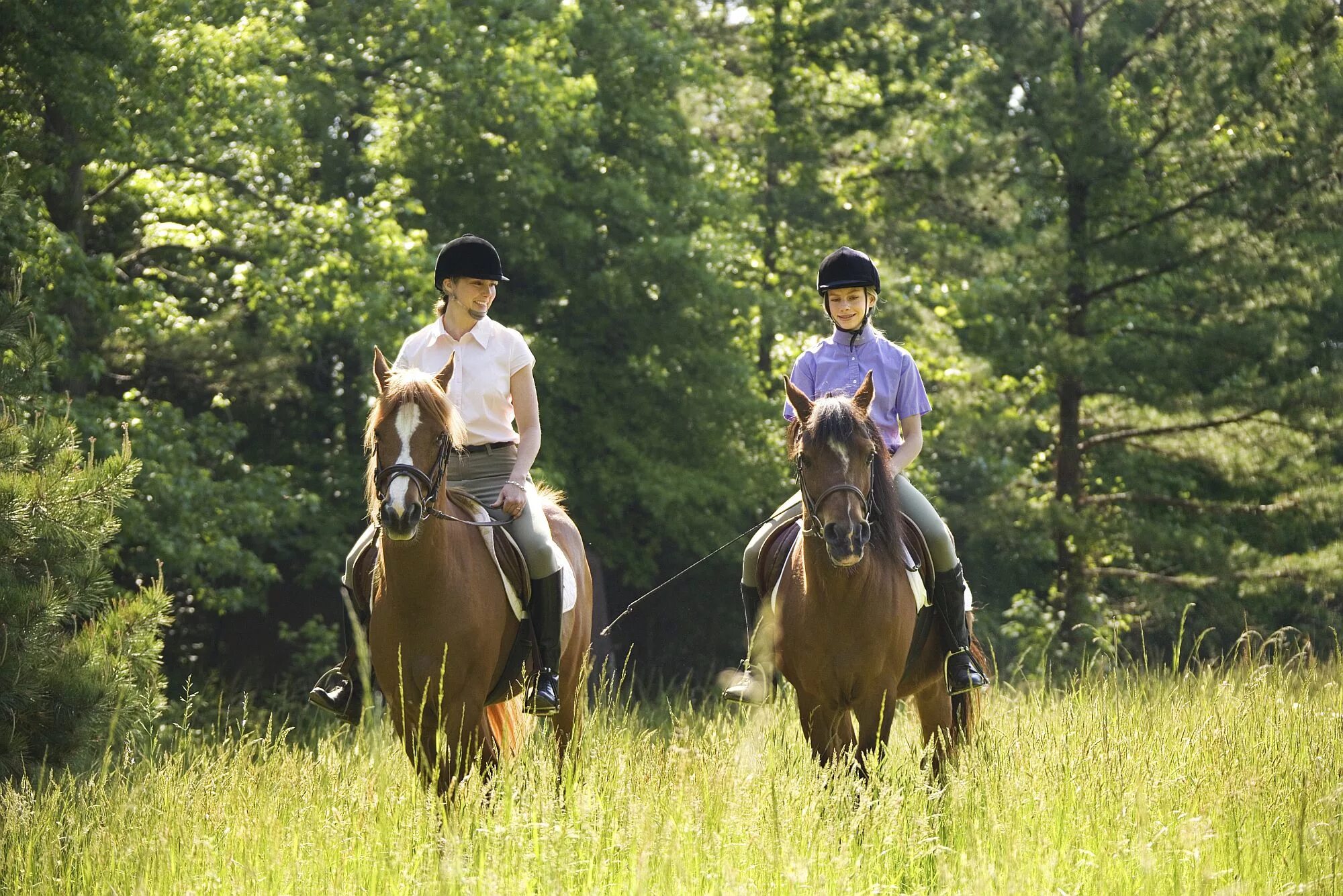 The horse rider. Хорс райдинг. Прогулка на лошадях. Верхом на лошади. Прогулки верхом.