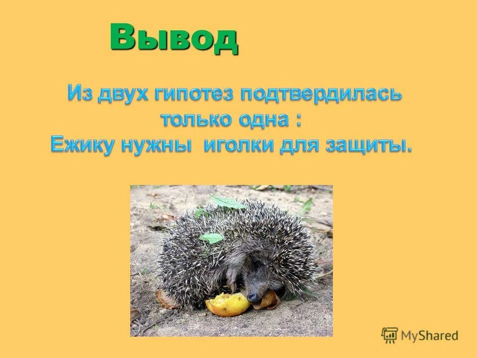 Какой падеж у словосочетания. Предложение про ежика. Колючий ежик в винительном падеже составить предложение. Словосочетание с существительным в винительном падеже. Колючий ежик в винительном падеже составить предложение.