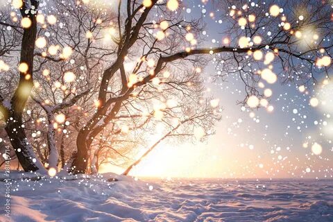 Beautiful winter day